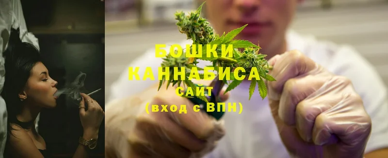 Конопля SATIVA & INDICA  цена наркотик  сайты даркнета Telegram  Кондопога 